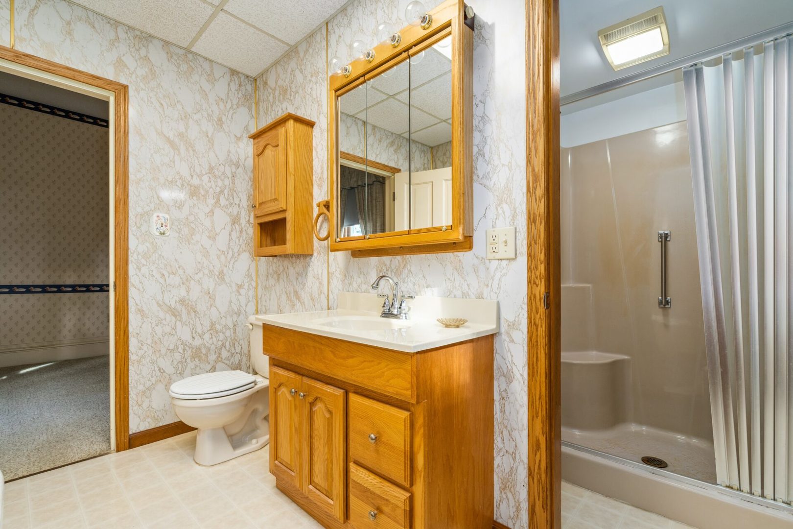 560 B Vilmin Road Plano, IL 60545 - Photo 17 of 36 a bathroom with a granite countertop sink toilet and shower