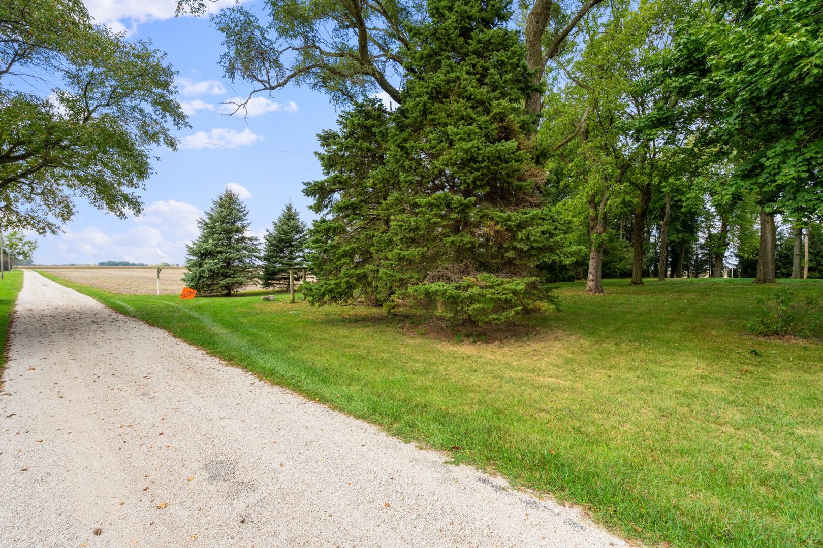 560 B Vilmin Road Plano, IL 60545 - Photo 36 of 36 a view of a park with large trees