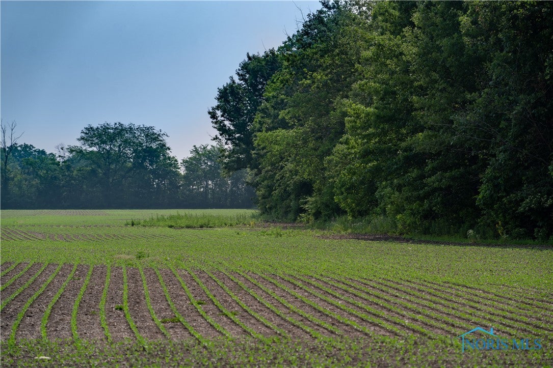 0 Eagleville Road North Baltimore, OH 45872 - Photo 6 of 9 over 27 Tillable acres