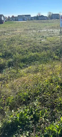 a view of an ocean from a yard