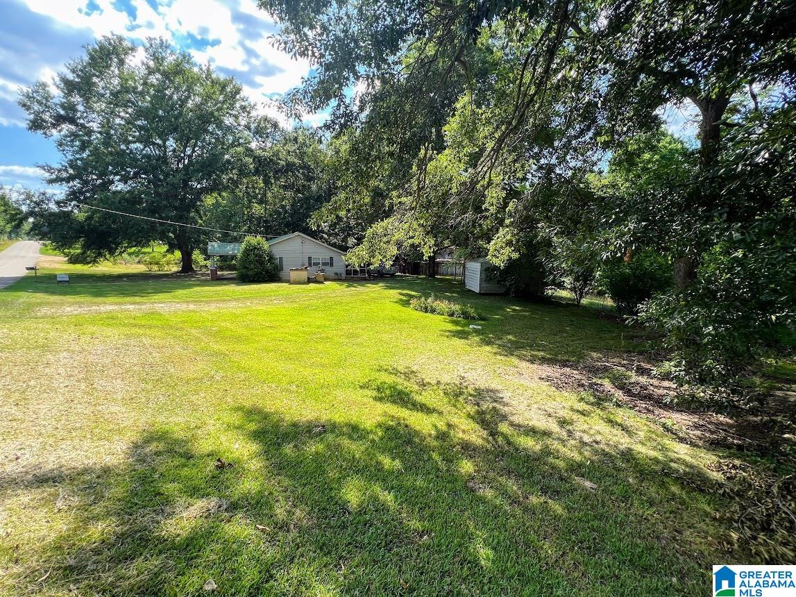 14791 County Road 10, Unit 45 ACRES Ranburne, AL 36273 - Photo 32 of 43