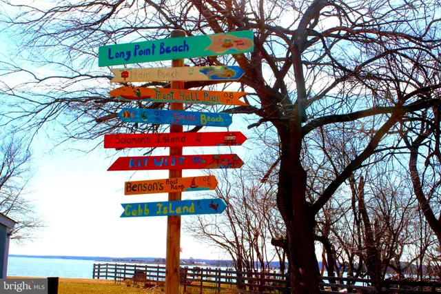 a street view with large tree