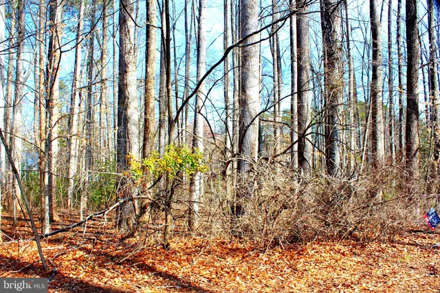a view of outdoor space with garden