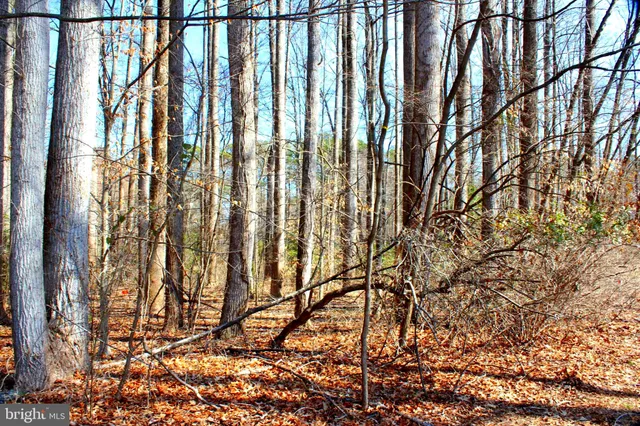 a close up of a plant with a plant