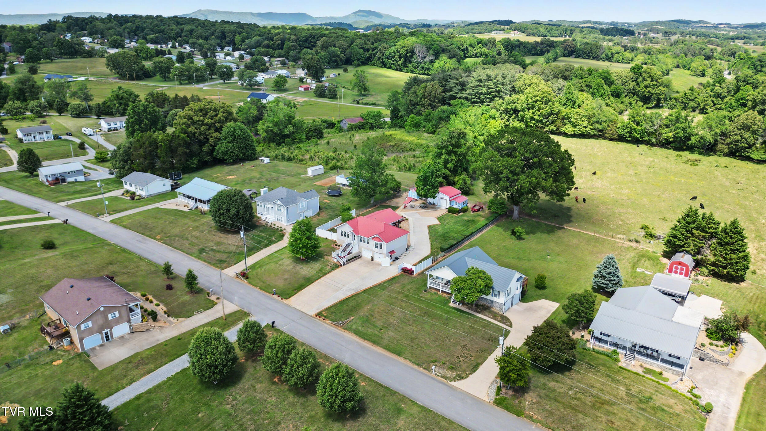 109 Pine Ridge Drive Afton, TN 37616 - Photo 45 of 51 60_dji_0936