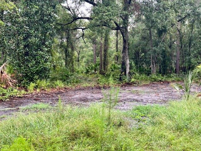 Xxx Water Oak Road Bunnell, FL 32110 - Photo 3 of 19 Gallery Image 3