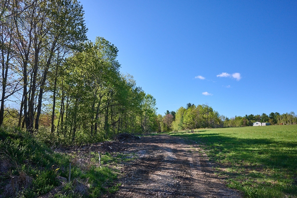 0 Radiker Road Worthington, MA 01098 - Photo 18 of 18 a view of a grassy field with trees in the background