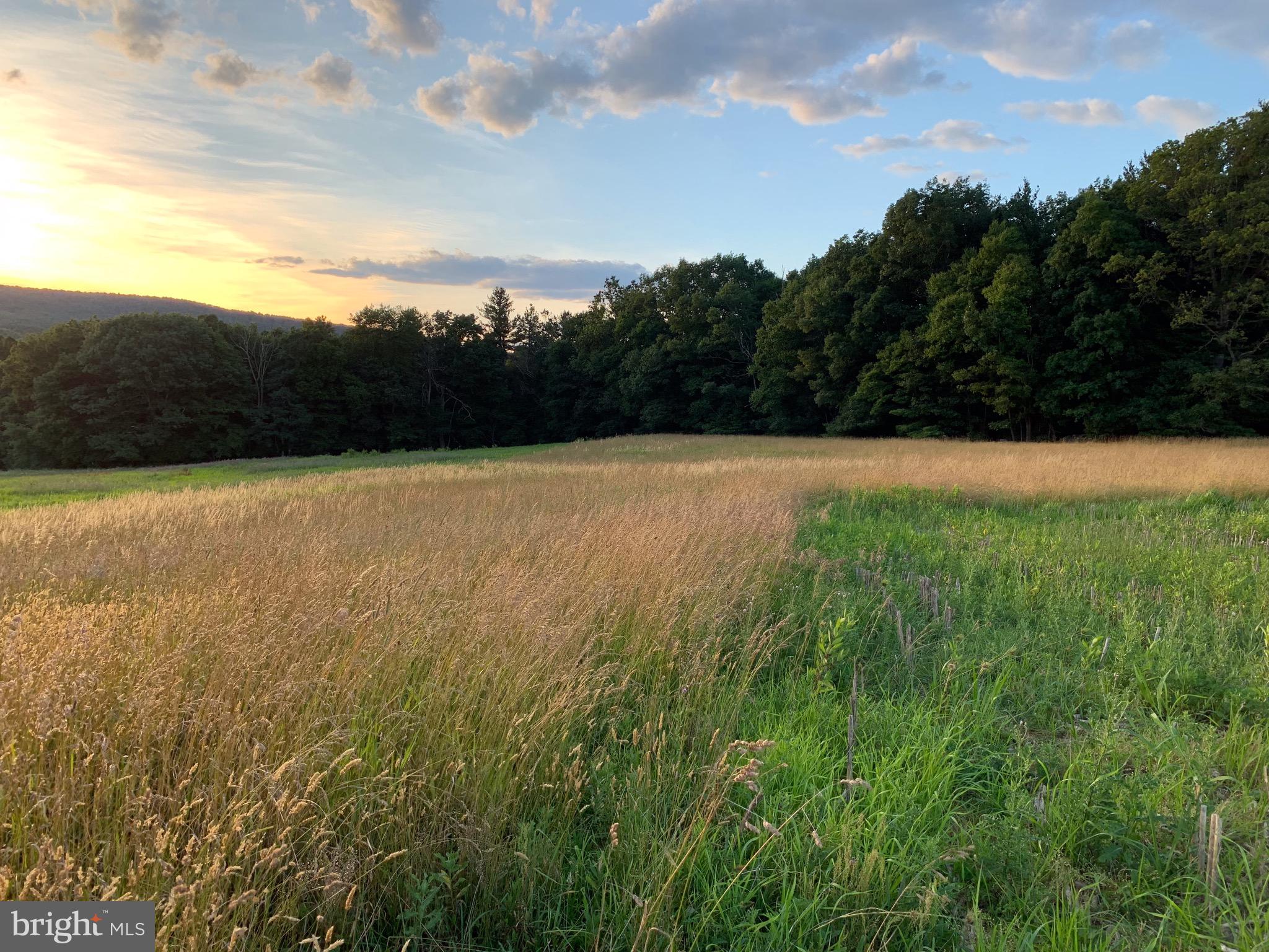 Lot 2 New Road Orrtanna, PA 17353 - Photo 21 of 44 Gallery Image 21