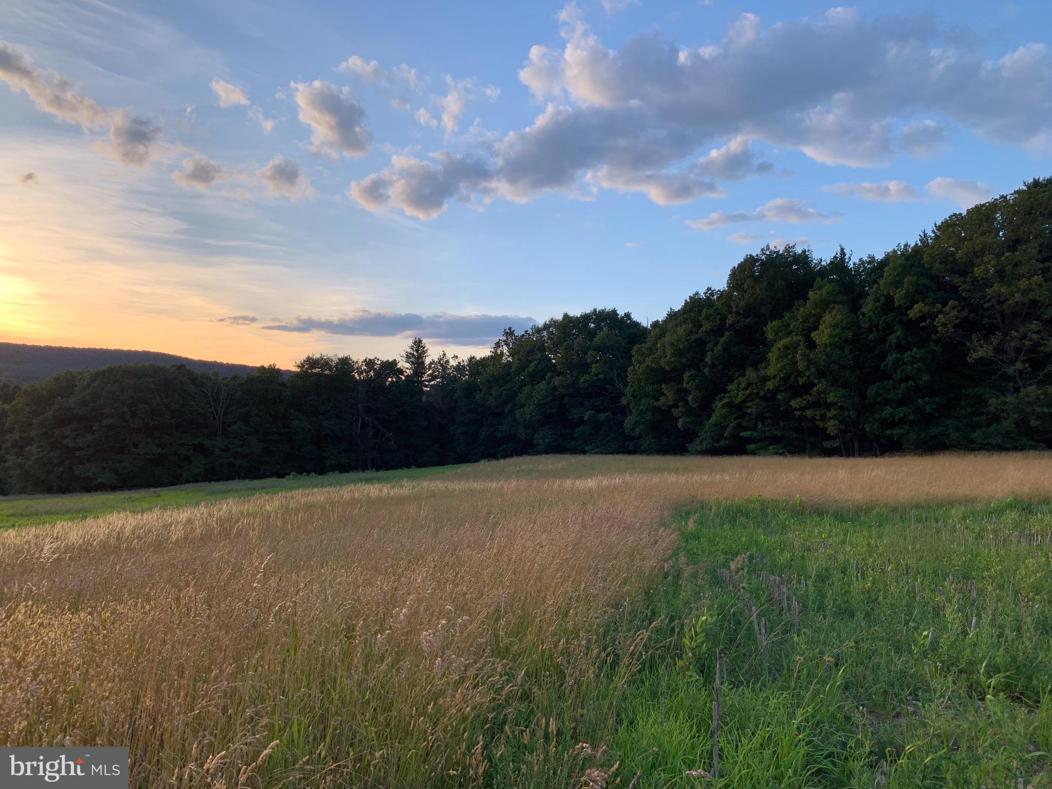 Lot 2 New Road Orrtanna, PA 17353 - Photo 22 of 44 Gallery Image 22