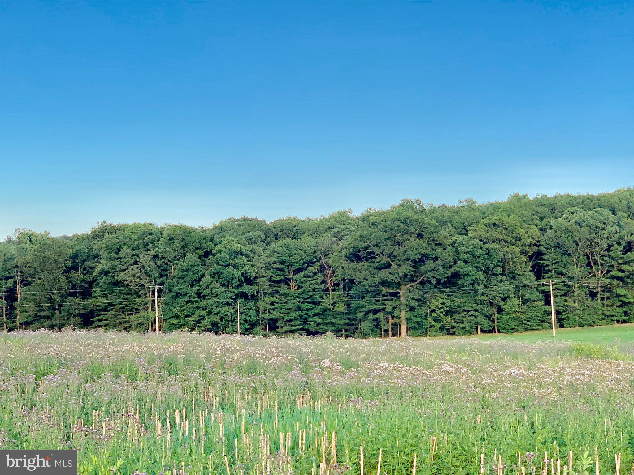Lot 2 New Road Orrtanna, PA 17353 - Photo 23 of 44 Gallery Image 23