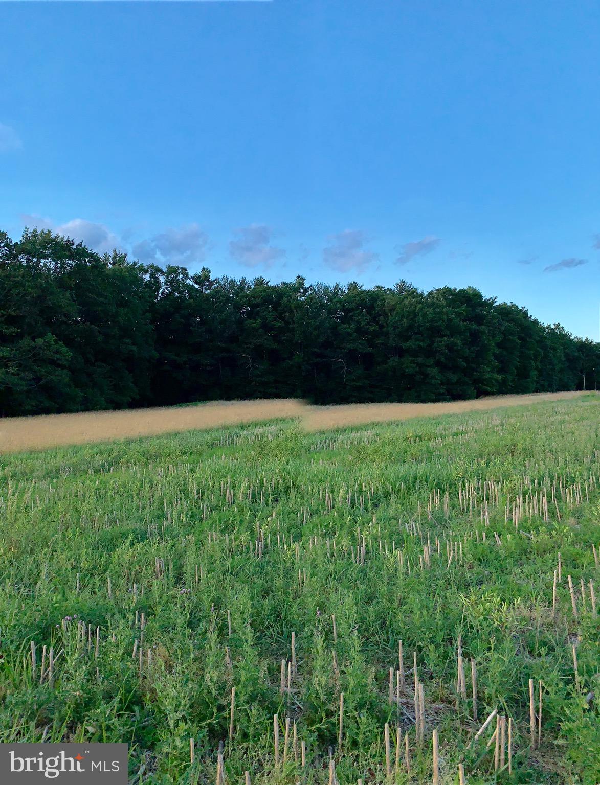 Lot 2 New Road Orrtanna, PA 17353 - Photo 35 of 44 Gallery Image 35
