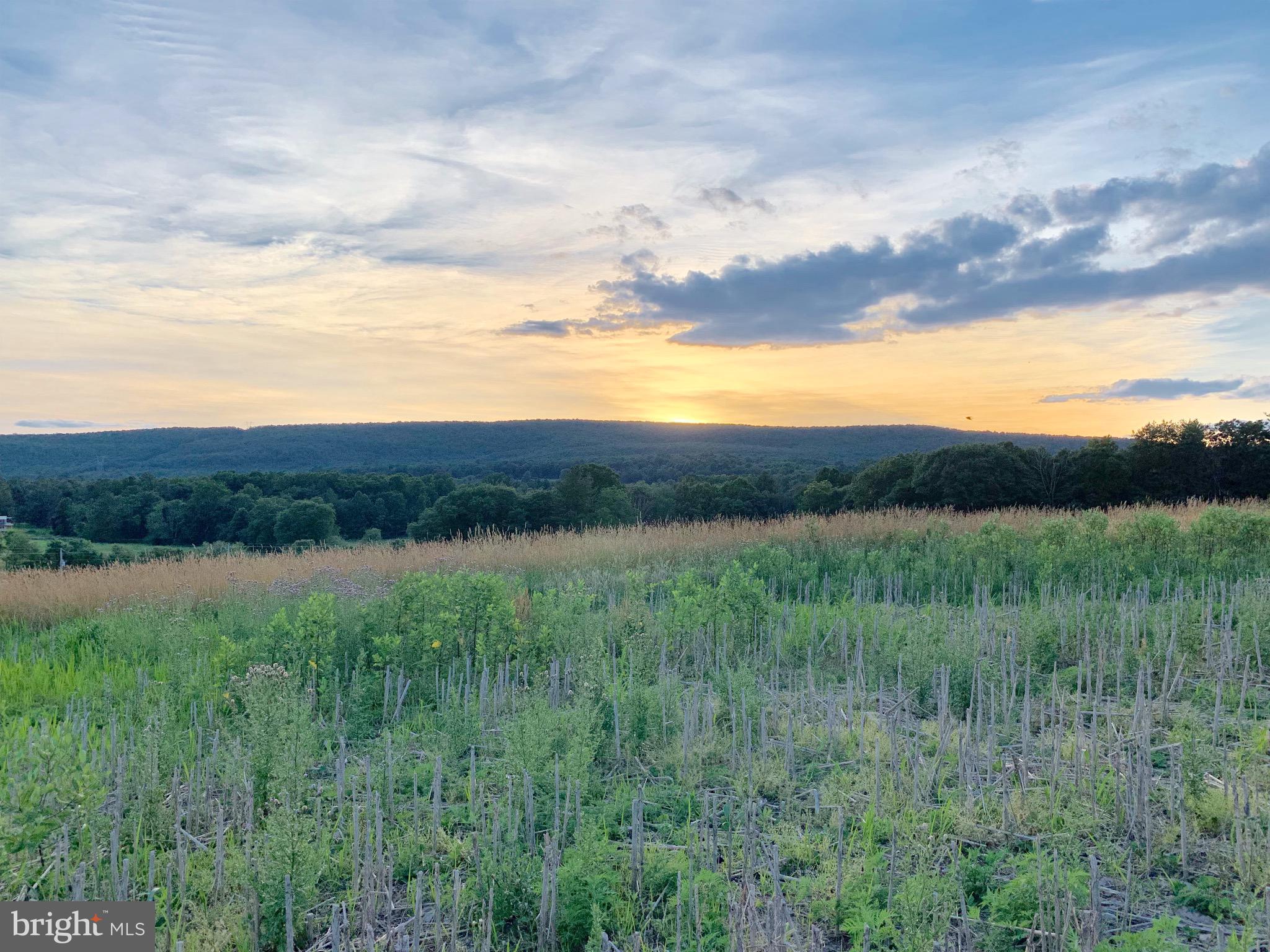 Lot 2 New Road Orrtanna, PA 17353 - Photo 36 of 44 Gallery Image 36