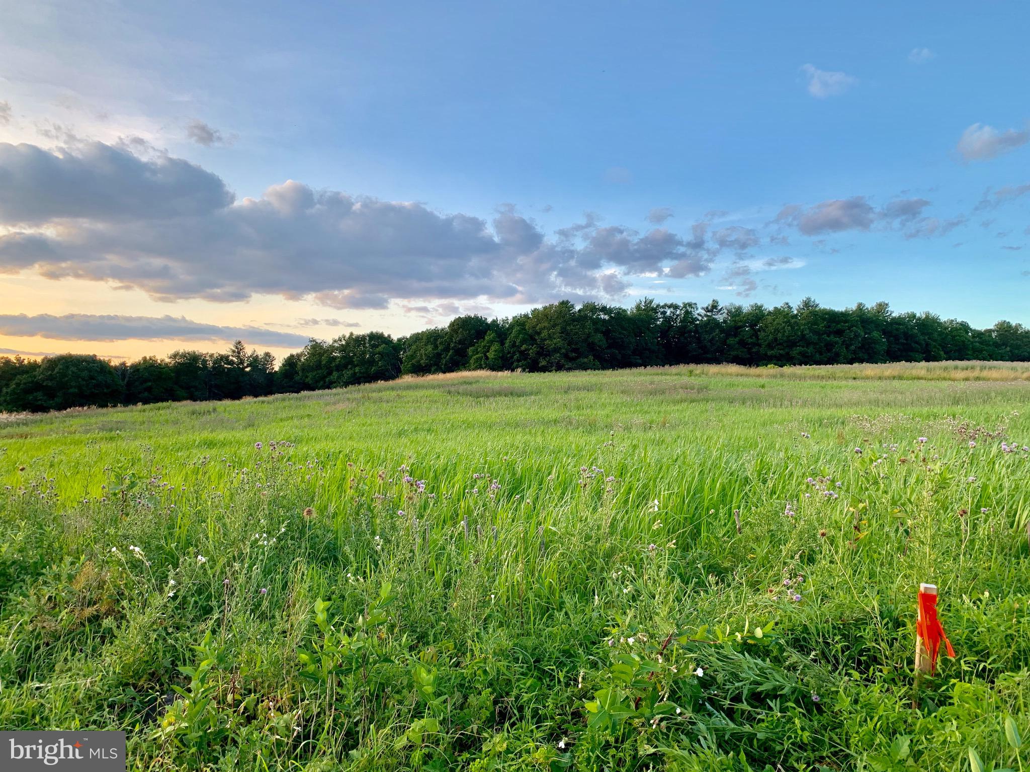 Lot 2 New Road Orrtanna, PA 17353 - Photo 40 of 44 Gallery Image 40