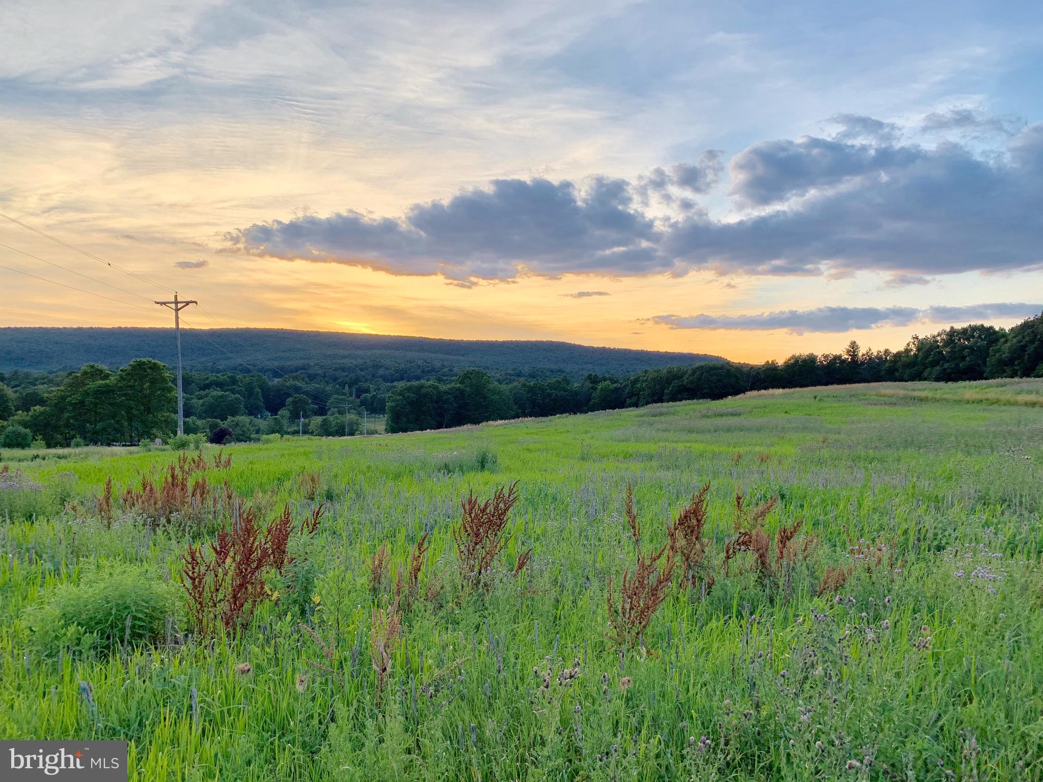Lot 2 New Road Orrtanna, PA 17353 - Photo 5 of 44 Gallery Image 5