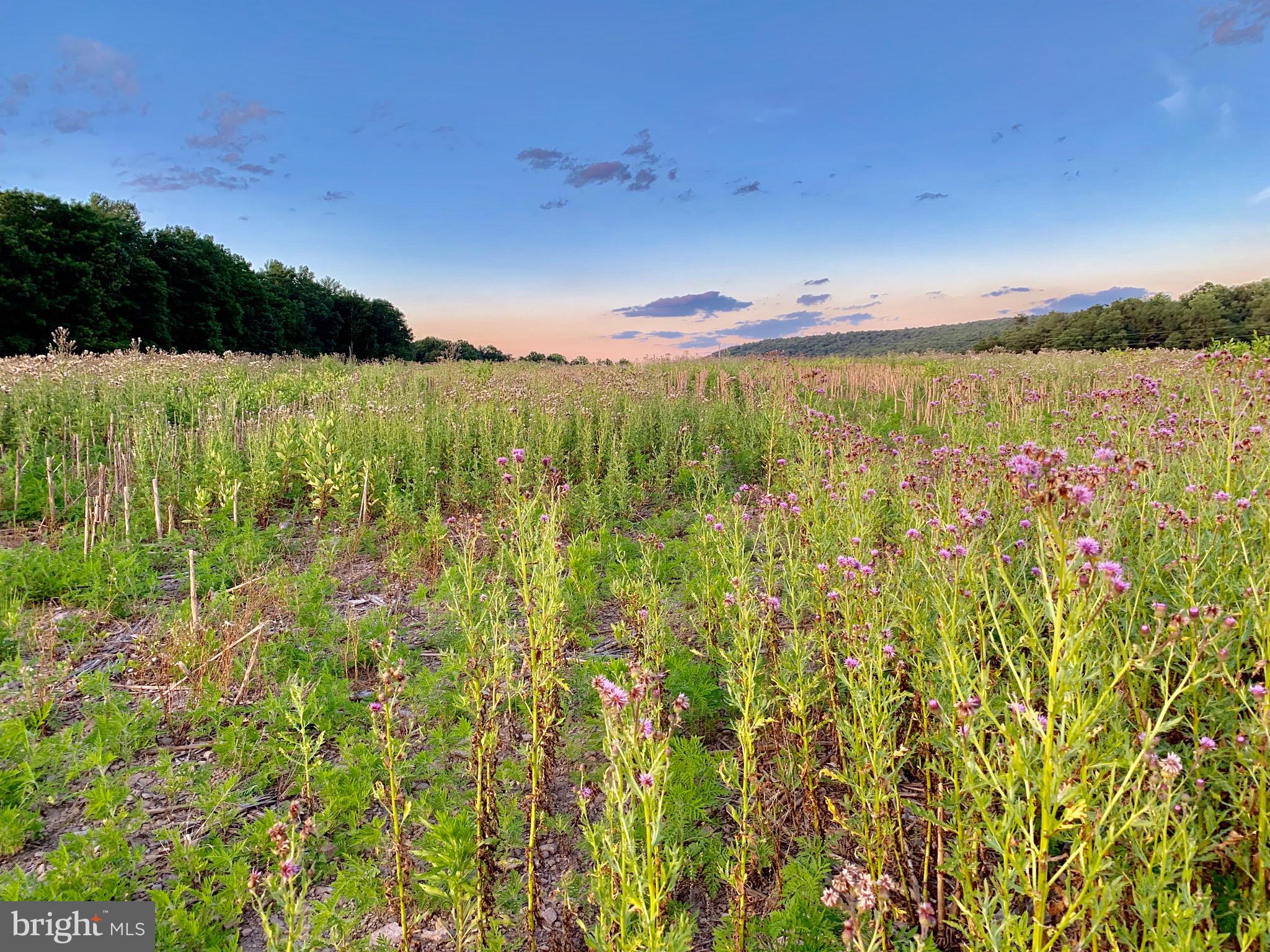 Lot 2 New Road Orrtanna, PA 17353 - Photo 6 of 44 Gallery Image 6