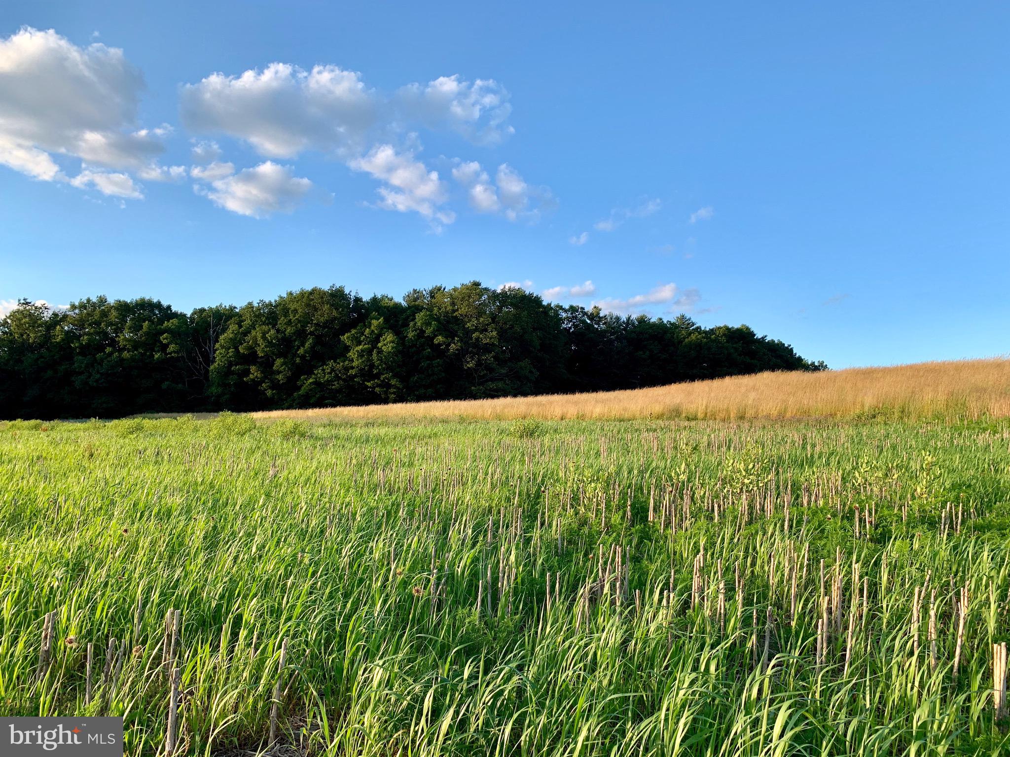 Lot 2 New Road Orrtanna, PA 17353 - Photo 9 of 44 Gallery Image 9