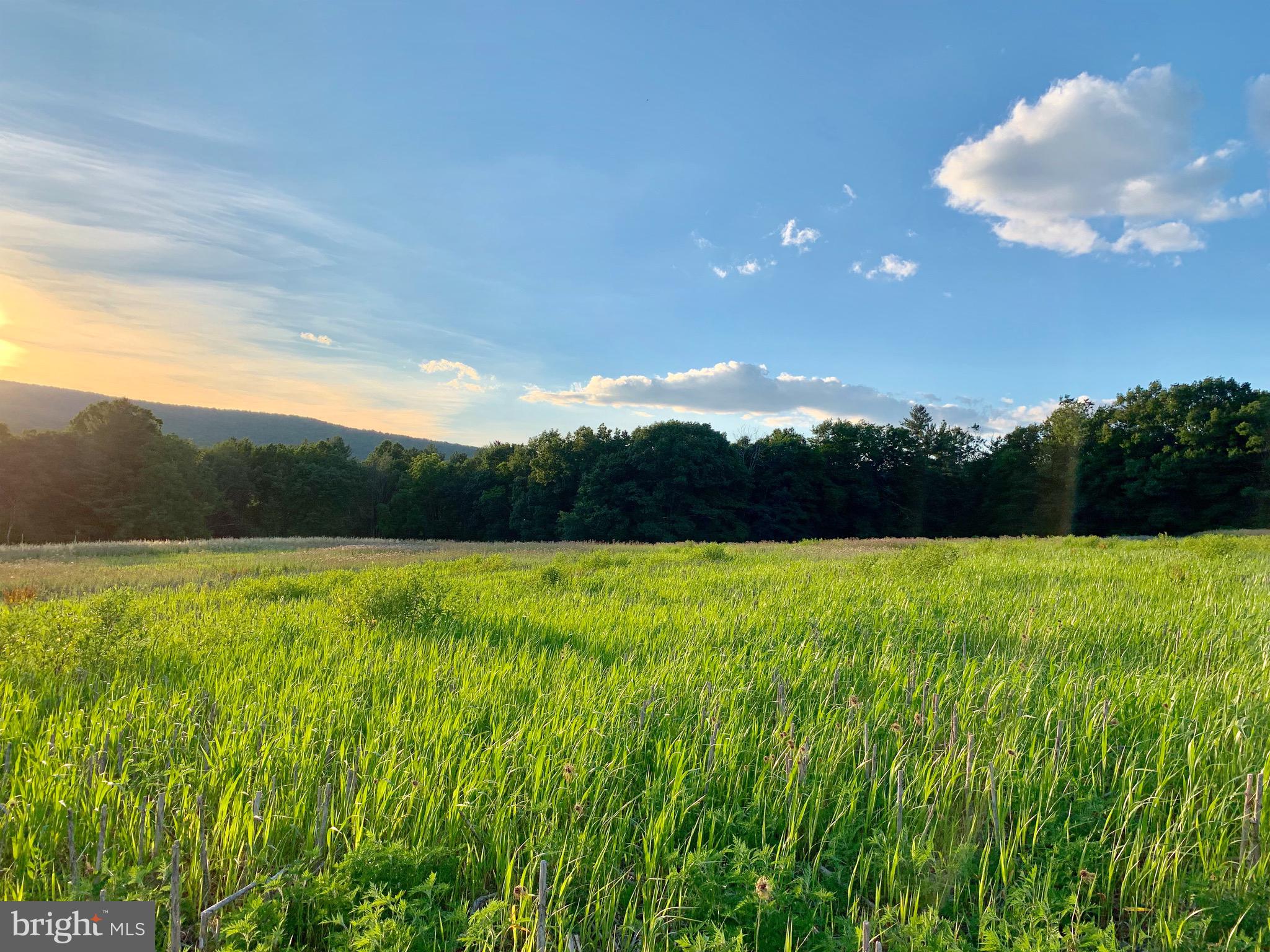 Lot 2 New Road Orrtanna, PA 17353 - Photo 10 of 44 Gallery Image 10