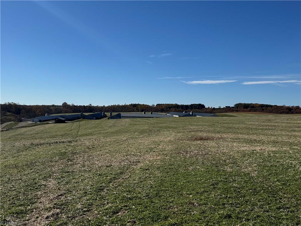 446 Grover Simmons Road Dobson, NC 27017 - Photo 13 of 50