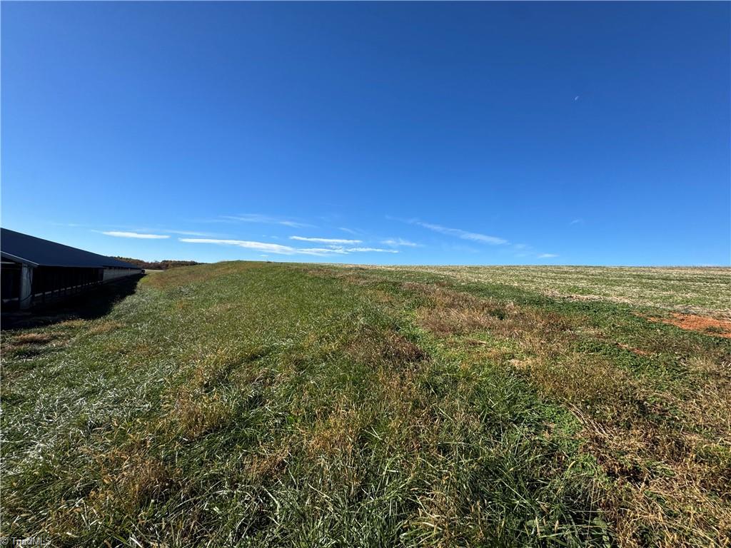 446 Grover Simmons Road Dobson, NC 27017 - Photo 22 of 50