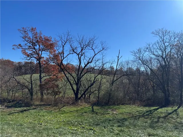 $4,000,000 | 446 Grover Simmons Road, Dobson, NC 27017