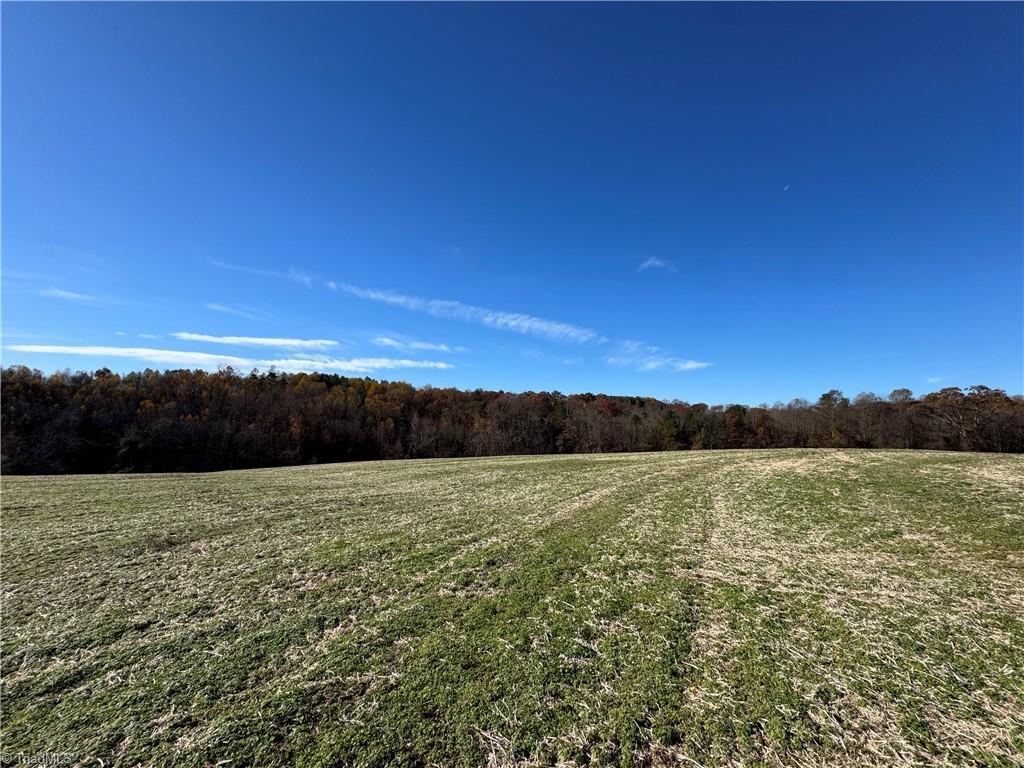 446 Grover Simmons Road Dobson, NC 27017 - Photo 30 of 50