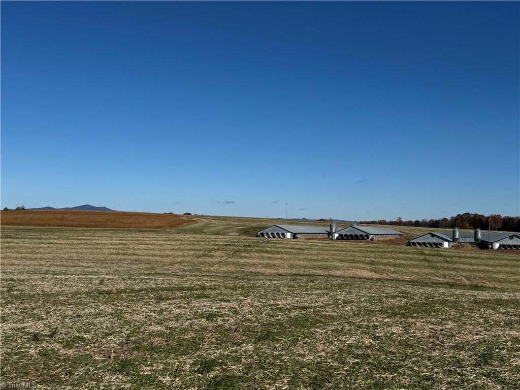 446 Grover Simmons Road Dobson, NC 27017 - Photo 32 of 50