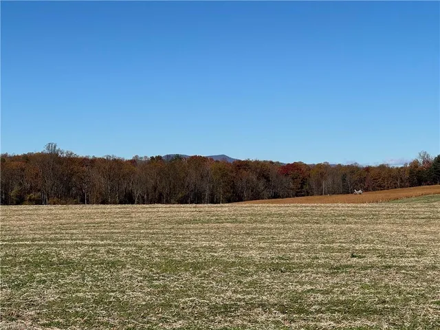 $4,000,000 | 446 Grover Simmons Road, Dobson, NC 27017