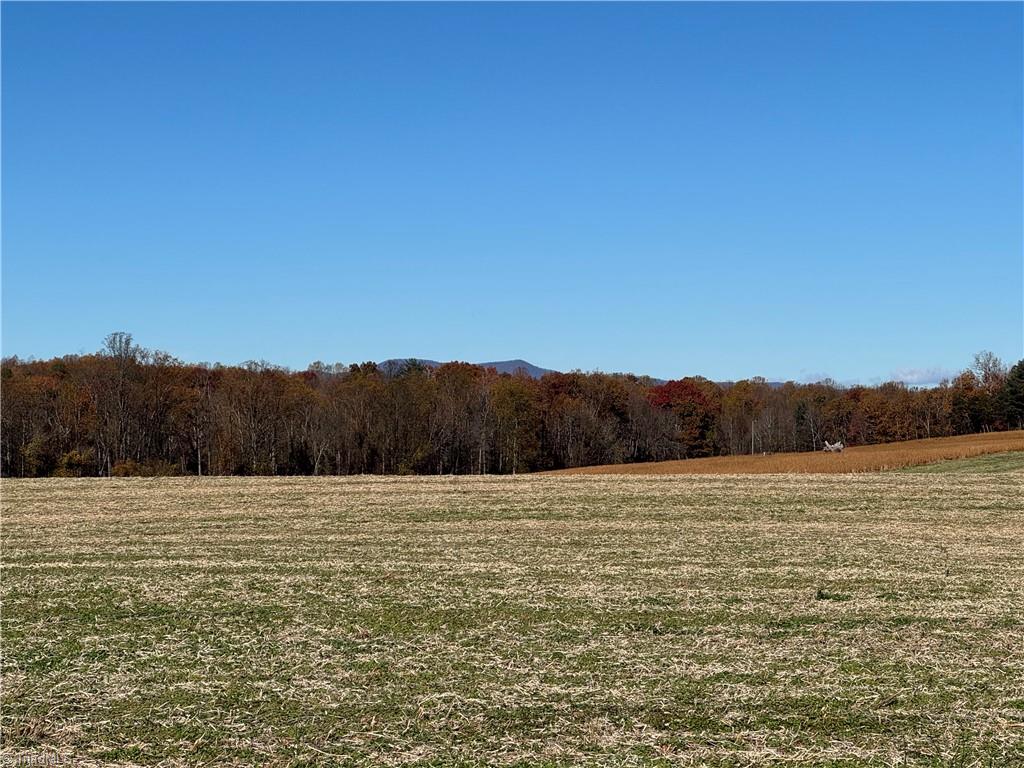 446 Grover Simmons Road Dobson, NC 27017 - Photo 33 of 50