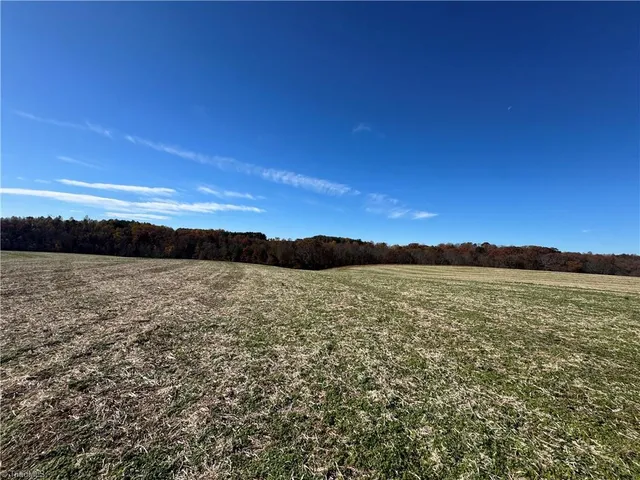 $4,000,000 | 446 Grover Simmons Road, Dobson, NC 27017