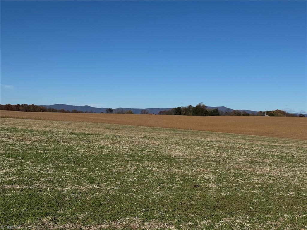 446 Grover Simmons Road Dobson, NC 27017 - Photo 8 of 50