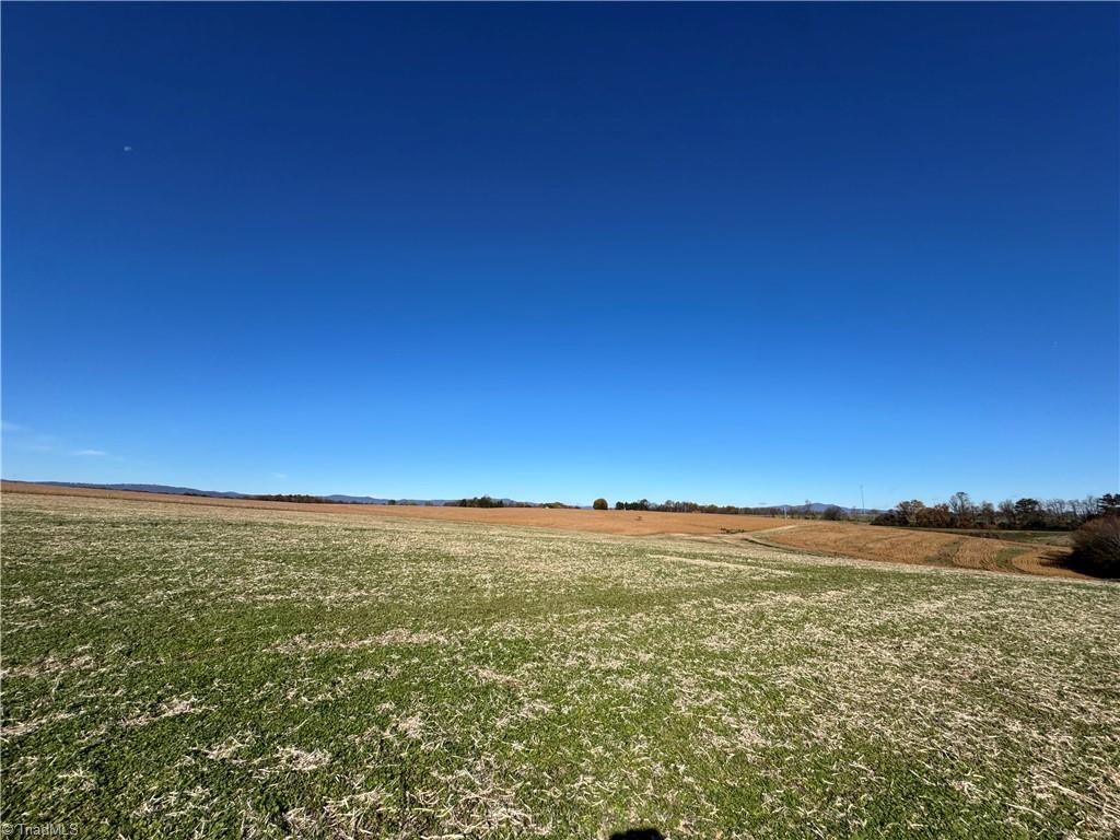 446 Grover Simmons Road Dobson, NC 27017 - Photo 9 of 50