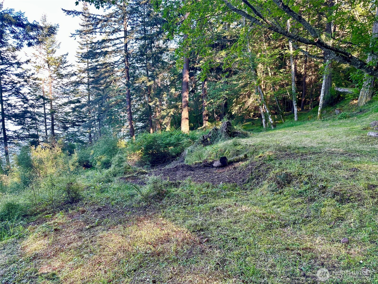 2700 Raccoon Point Road Orcas Island, WA 98245 - Photo 8 of 14 Gallery Image 8