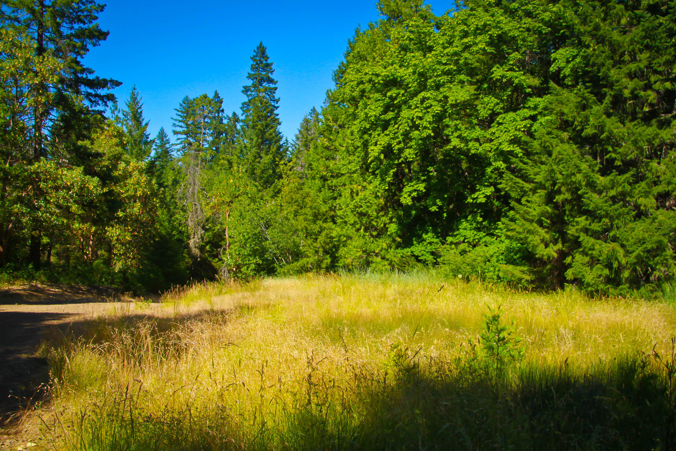 0 Fs 5n25 Burnt Ranch Burnt Ranch, CA 95527 - Photo 25 of 40 UWF-26