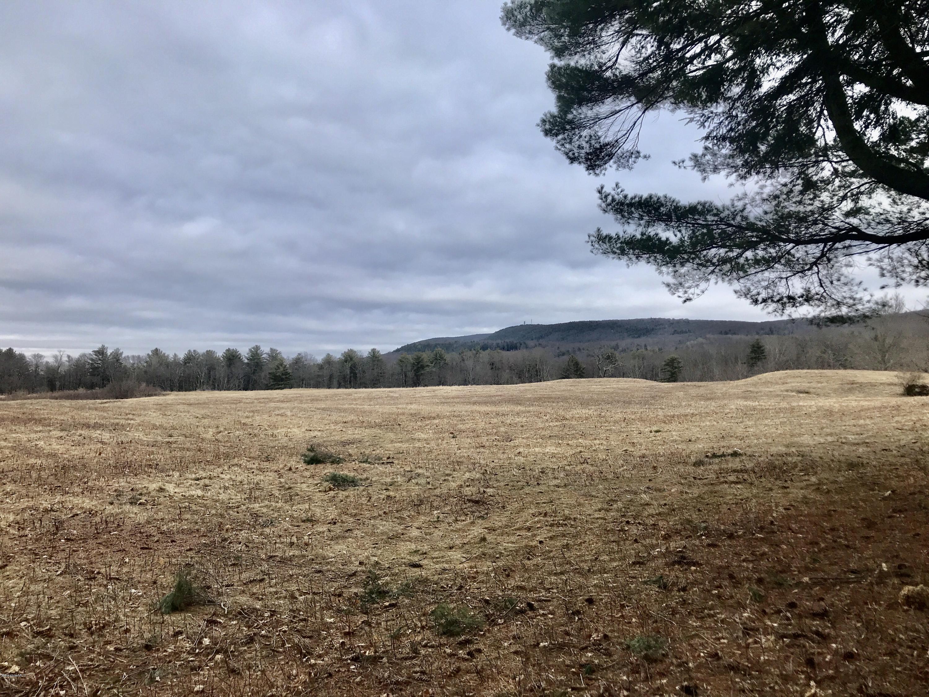 1679 Swamp Road Richmond, MA 01254 - Photo 8 of 33 a view of lake