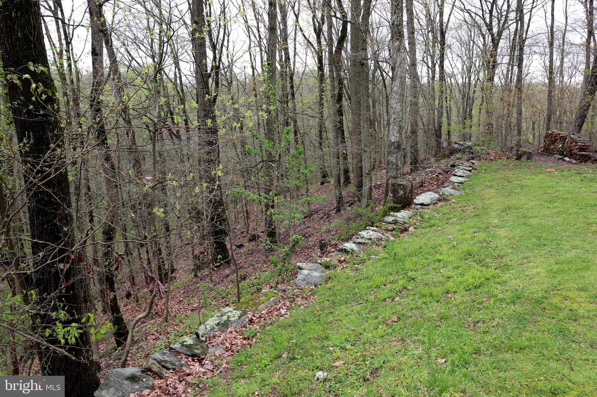 232 Wesley Road Quarryville, PA 17566 - Photo 17 of 69 view from yard