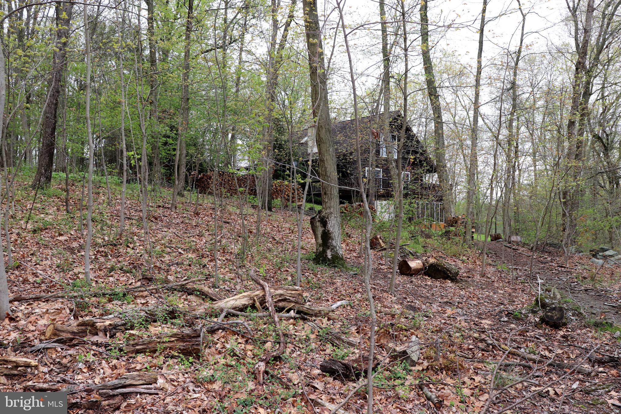 232 Wesley Road Quarryville, PA 17566 - Photo 18 of 69 Wooded part of property