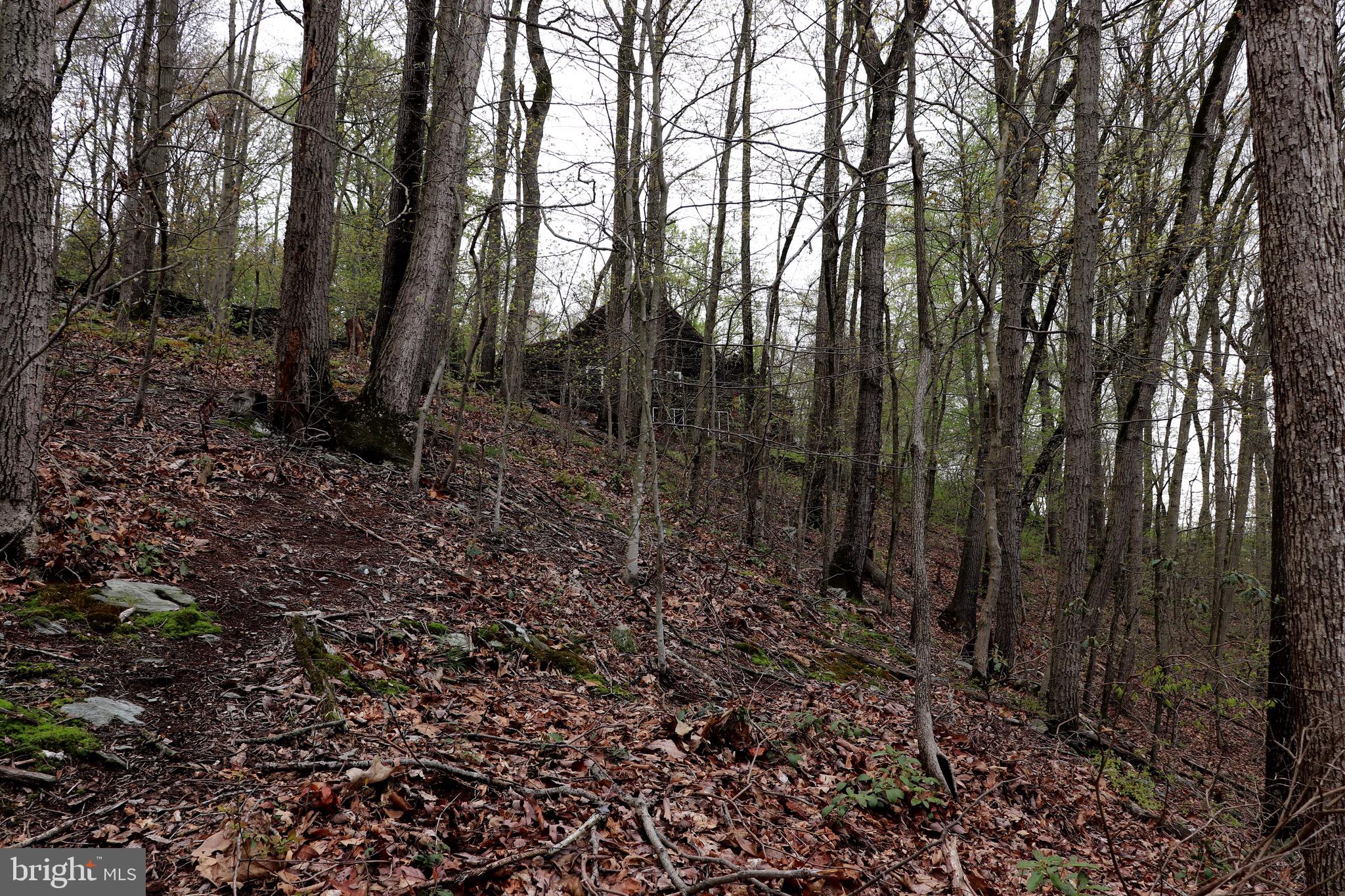 232 Wesley Road Quarryville, PA 17566 - Photo 21 of 69 View from far end of property