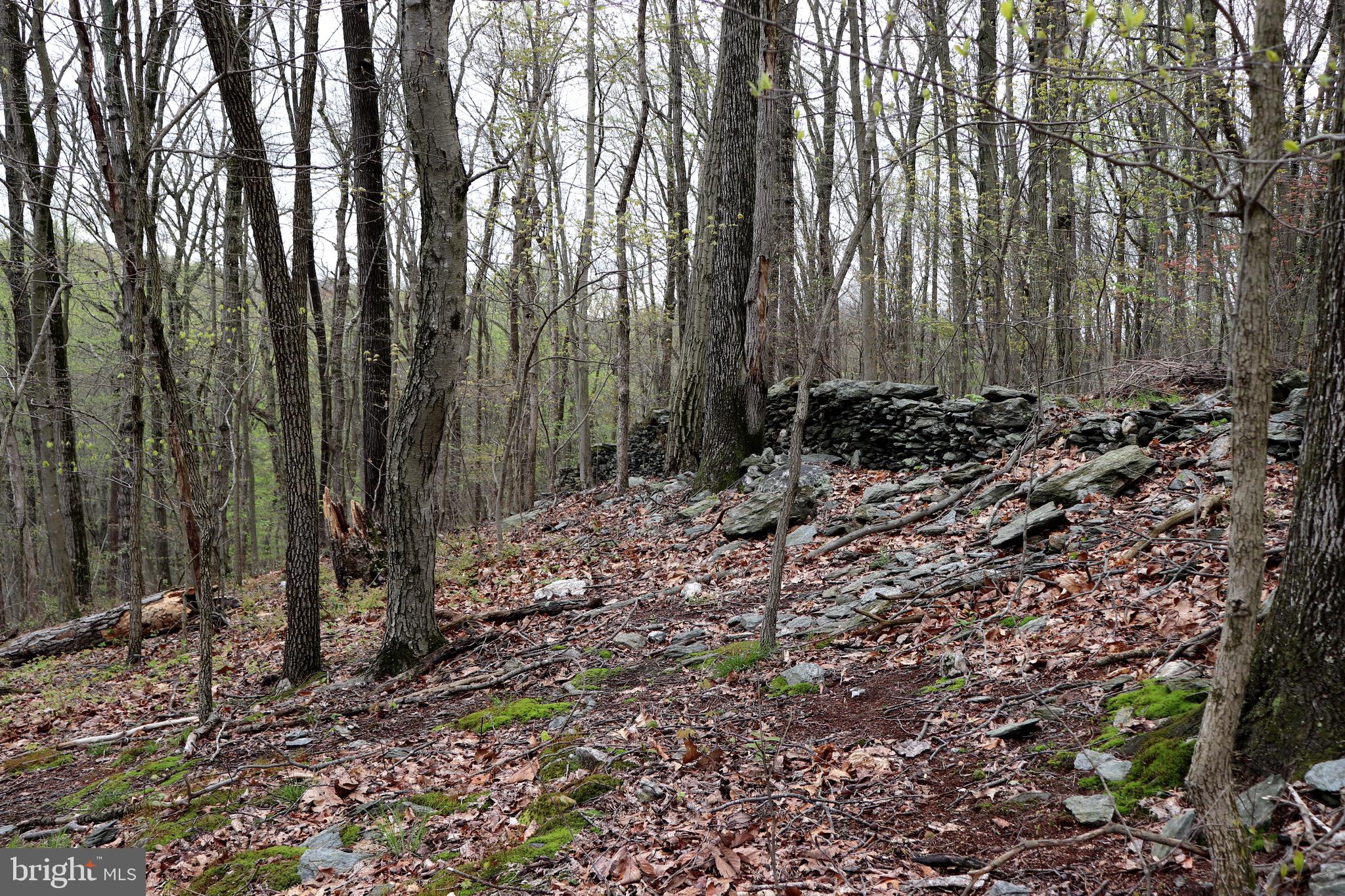232 Wesley Road Quarryville, PA 17566 - Photo 23 of 69 Wooded view with stone walls
