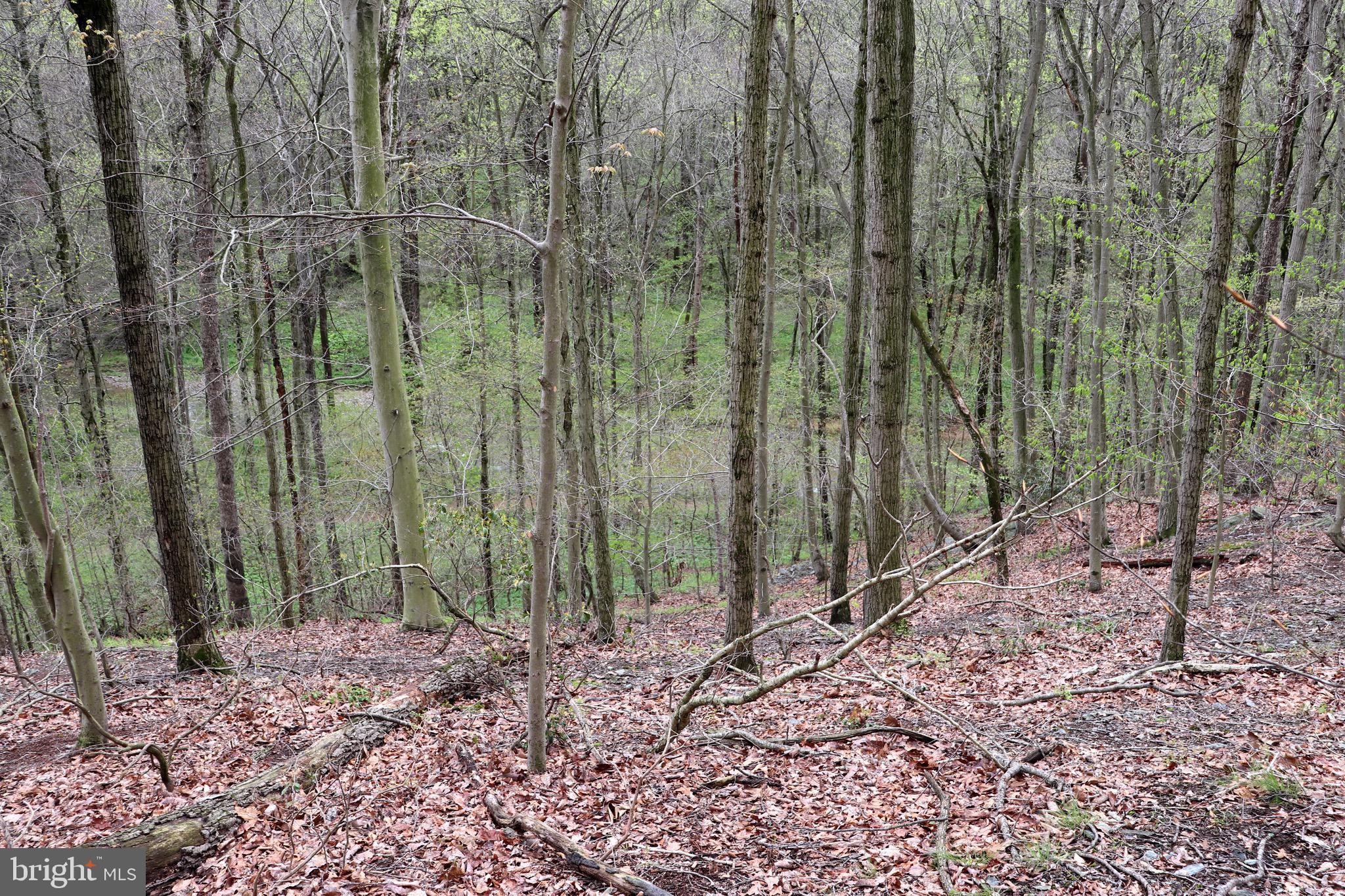232 Wesley Road Quarryville, PA 17566 - Photo 24 of 69 View of Theodore A. Parker III Natural Area below
