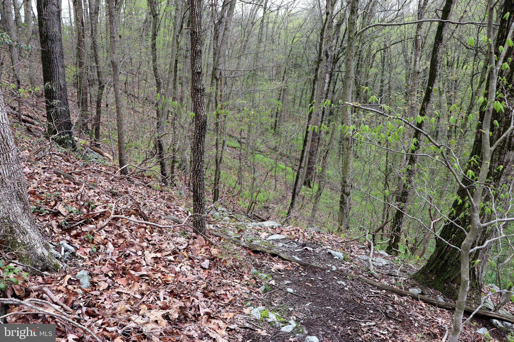 232 Wesley Road Quarryville, PA 17566 - Photo 26 of 69 View of trail into natural area