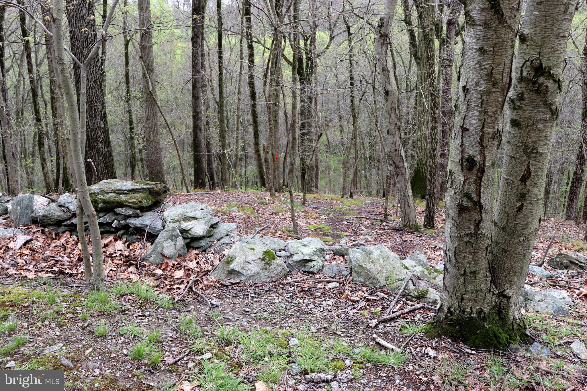 232 Wesley Road Quarryville, PA 17566 - Photo 27 of 69 Stone wall on property