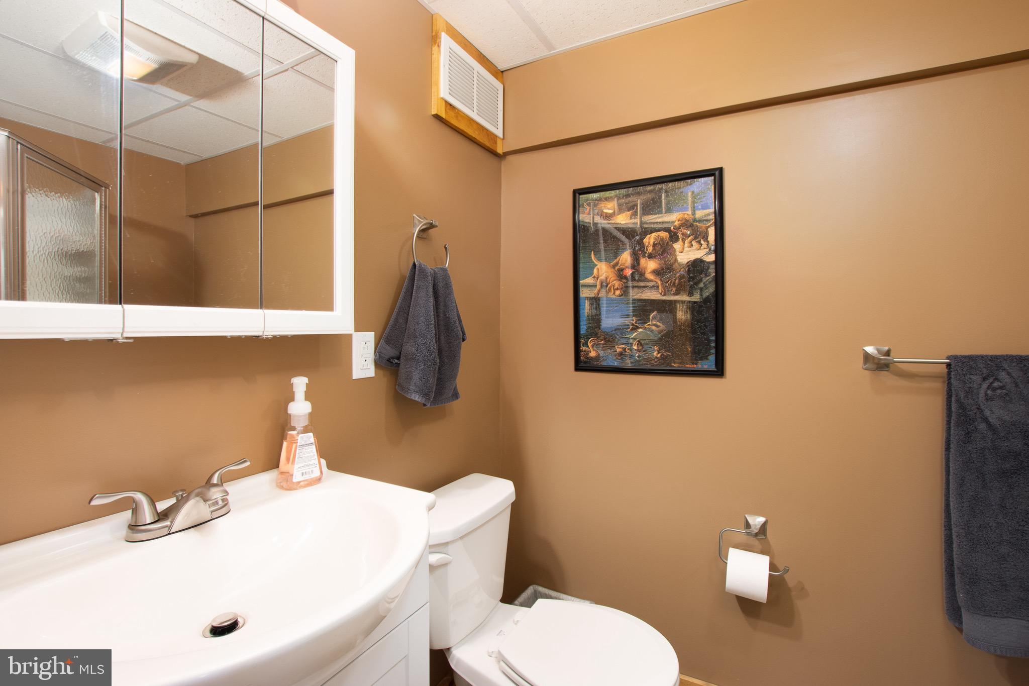 232 Wesley Road Quarryville, PA 17566 - Photo 52 of 69 Lower level bathroom