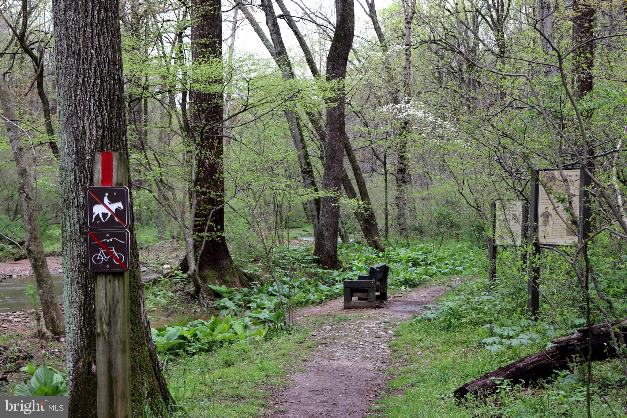 232 Wesley Road Quarryville, PA 17566 - Photo 58 of 69 Trail through Theodore A Parker natural area.