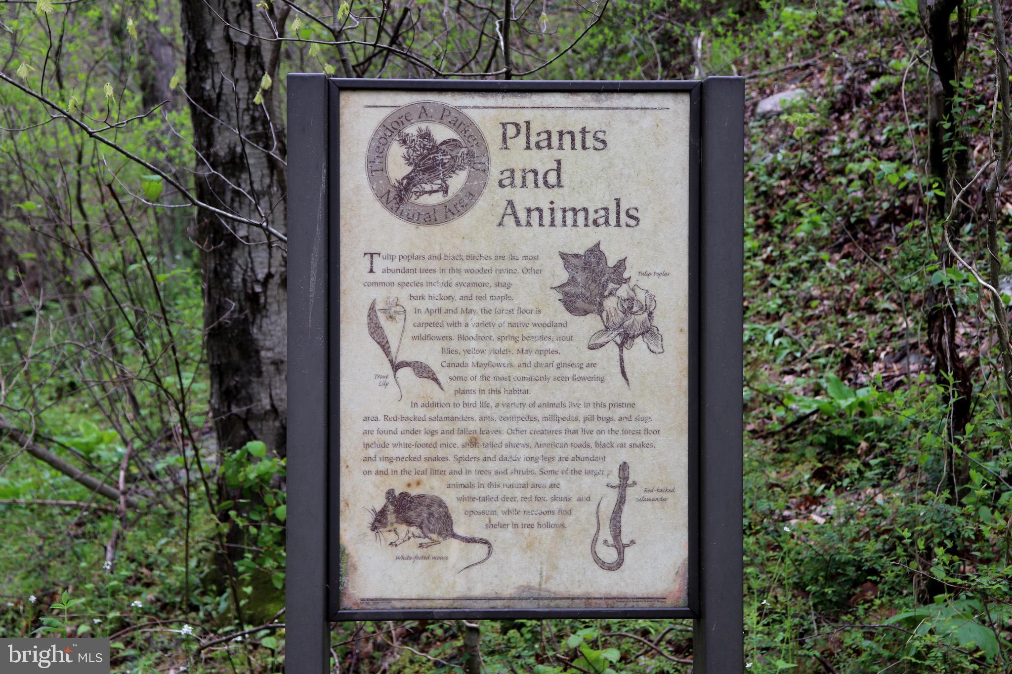 232 Wesley Road Quarryville, PA 17566 - Photo 61 of 69 Trail sign