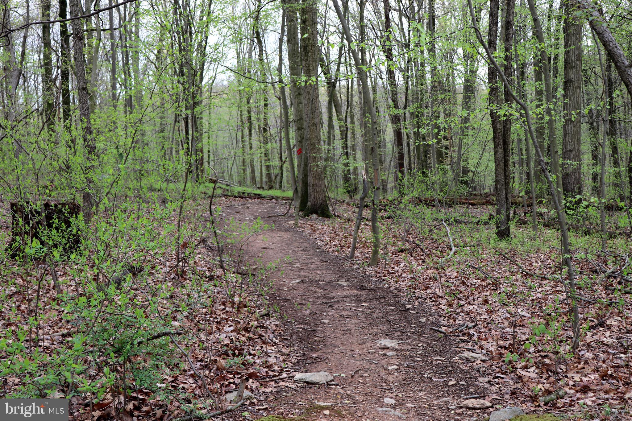 232 Wesley Road Quarryville, PA 17566 - Photo 65 of 69 Upper trail to Natural Area