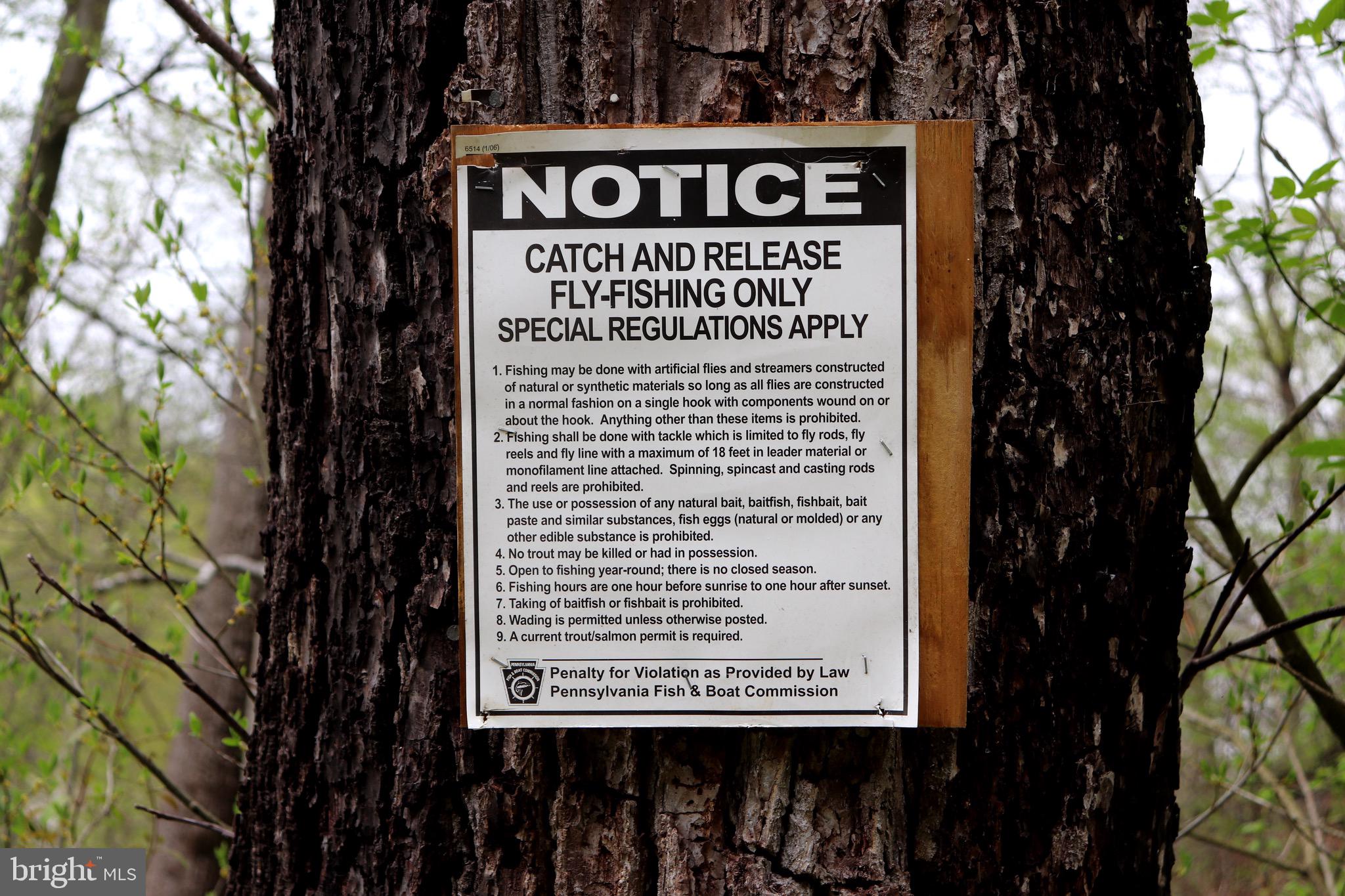 232 Wesley Road Quarryville, PA 17566 - Photo 67 of 69 Octoraro stocked for fly fishing only