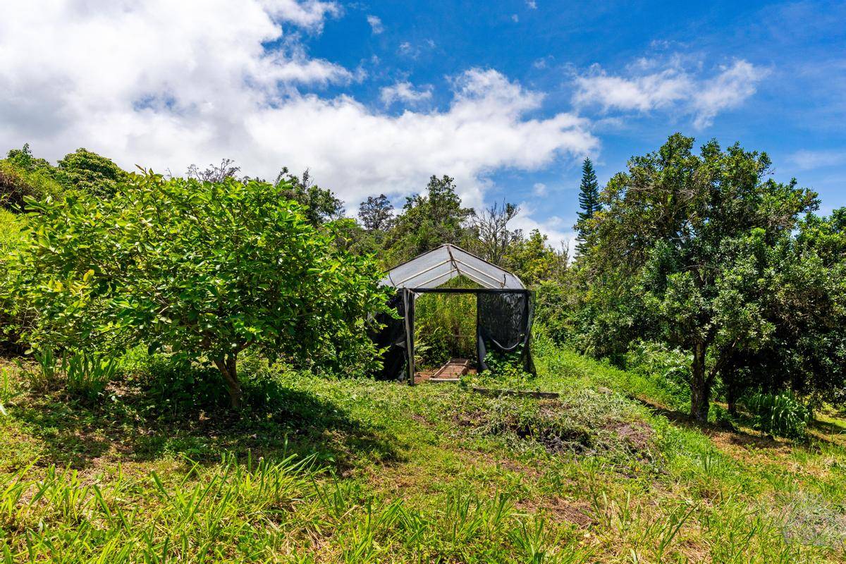 87-2782 Hawaii Belt Road Captain Cook, HI 96704 - Photo 23 of 25 Gallery Image 23
