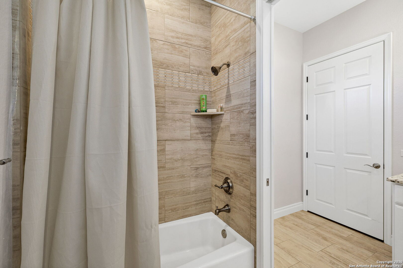 103 William Tobin Blanco, TX 78606 - Photo 22 of 27