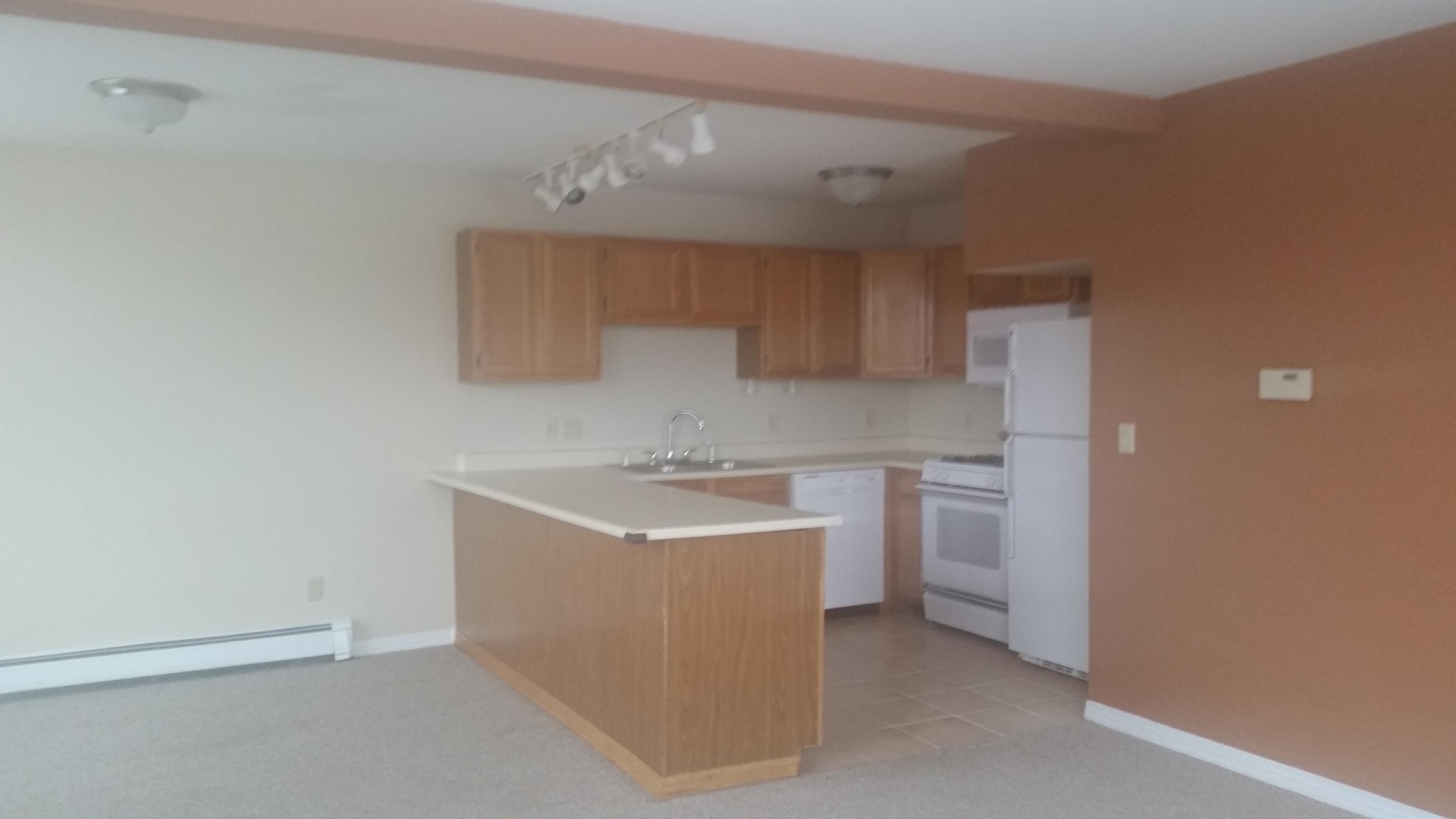 302 Adams Ranch Road, Unit 8 Mountain Village, CO 81435 - Photo 10 of 15 Kitchen