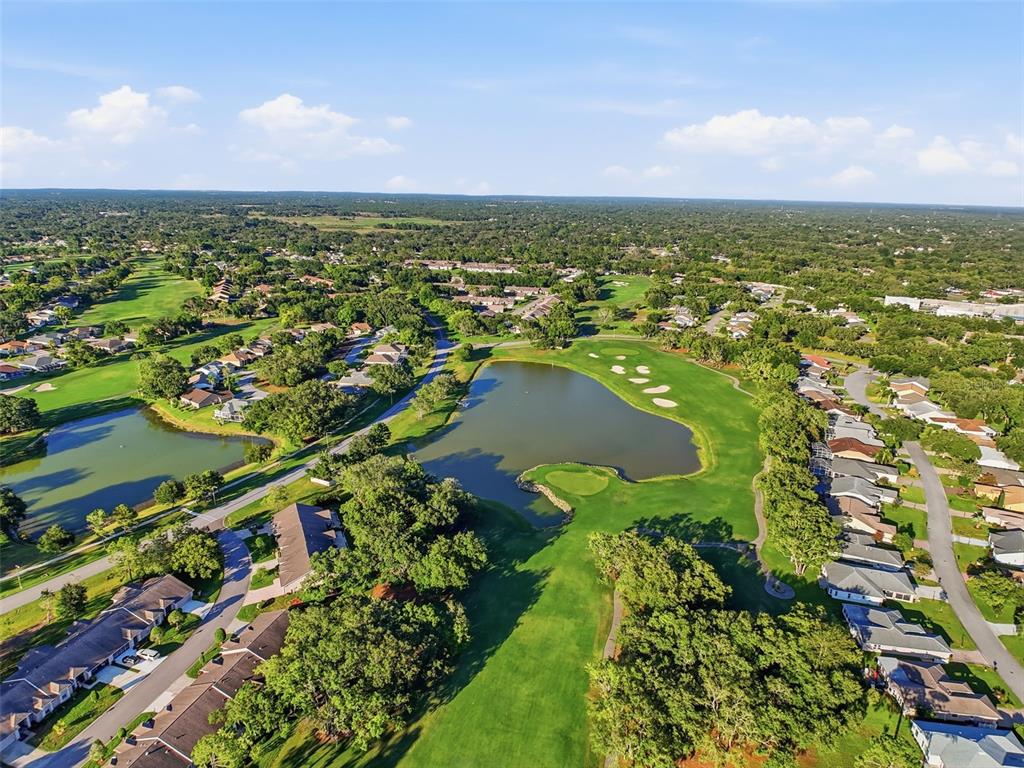 7442 Woodhollow Road Spring Hill, FL 34606 - Photo 53 of 55